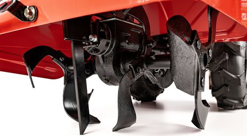 Glebogryzarka spalinowa CEDRUS GLX-GT65-2L SAMOBIEŻNA Z NAPĘDEM KULTYWATOR 6.5KM / 50 cm SILNIK LONCIN G200F - OFICJALNY DYSTRYBUTOR - AUTORYZOWANY DEALER CEDRUS na Arena.pl