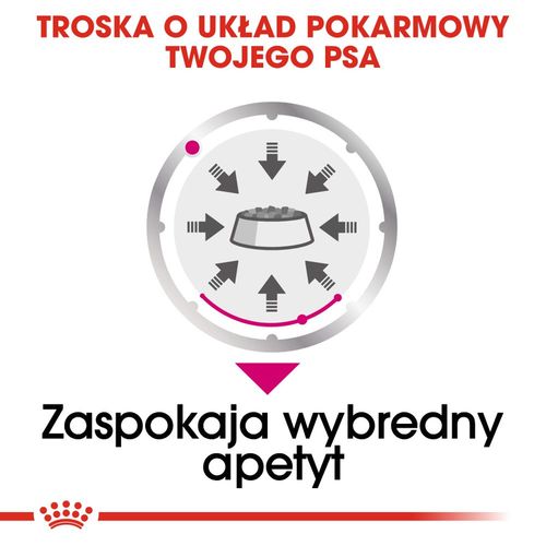 royal canin ccn exigent pasztet 12x85g na Arena.pl