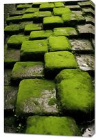 Obraz 60x90cm Zielona Mozaika