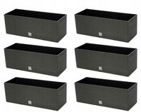 Doniczka balkonowa RATO DRTC500, 6 szt. | Antracyt, Wymiary 40x60x50 cm, Prosperplast