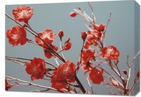Obraz 70x50cm Szkarłatna Wiosna
