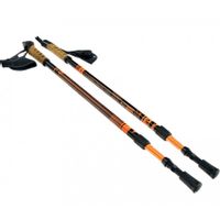 ND05_K7049 Kijki Nordic Walking Pacer Bjorn pomar
