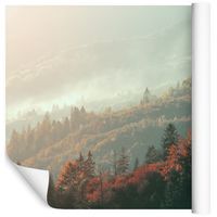 Fototapeta Jesienny Las Natura DRZEWA do Salonu 368cm x 254cm