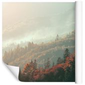 Fototapeta Jesienny Las Natura DRZEWA do Salonu 368cm x 254cm