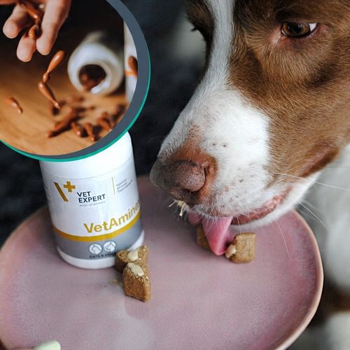 Preparat dla psów i kotów witaminy minerał Vet Expert Vetaminex 60 kapsułek na Arena.pl