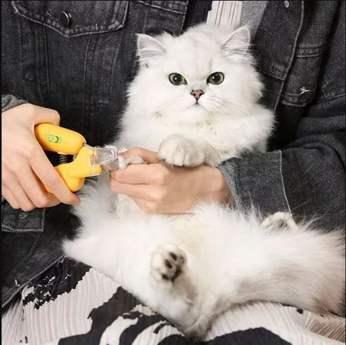 Obcinacz do pazurów dla zwierząt PSA, KOTA + światło LED + Pilnik na Arena.pl