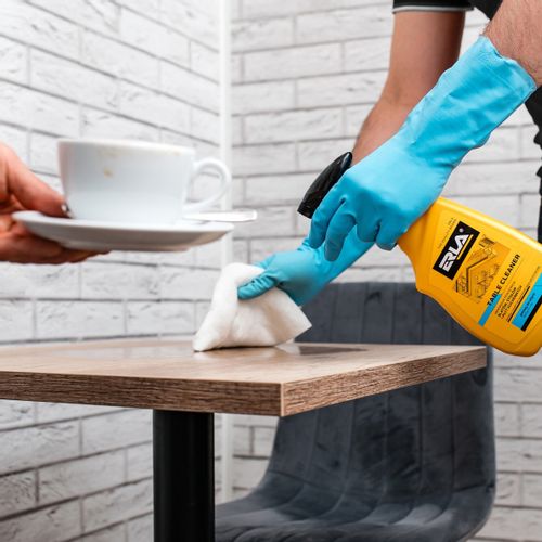 K2 Erla Table Cleaner- płyn do czyszczenia blatów, stołów i płyt kuchennych na Arena.pl