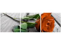 product-compare-58707535