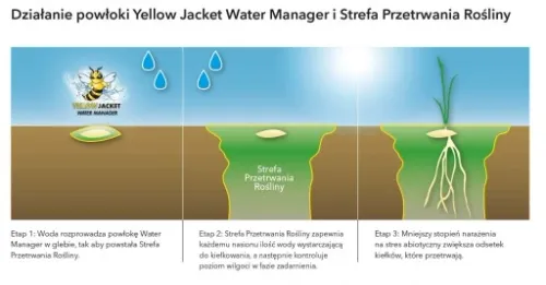 Trawa Barenbrug Shadow do cienia 1kg Shadow&Sun nasiona traw 50m2 na Arena.pl