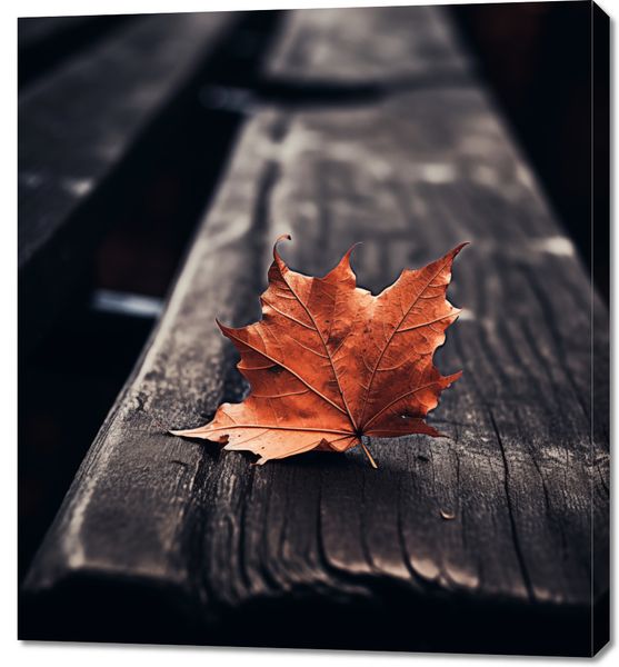 Obraz 90x100cm Pojedynczy Liść zdjęcie 1