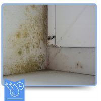 product-compare-58994110