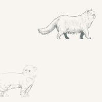 Tapeta Szkic Koty W121 250 cm płótno