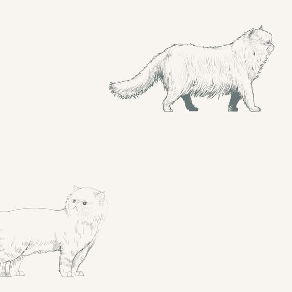 Tapeta Szkic Koty W121 270 cm płótno zdjęcie 1