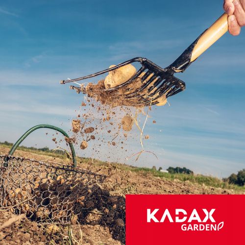 WIDŁY GABLE DO BURAKÓW ZIEMNIAKÓW KAMIENI 10 ZĘBÓW na Arena.pl