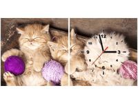 product-compare-58611501