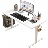 Biurko gamingowe elektryczne białe 160x80cm regulowane skandynawskie 72-118