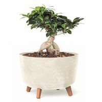 Donica okrągła 39 cm krem misa nóżki wkład