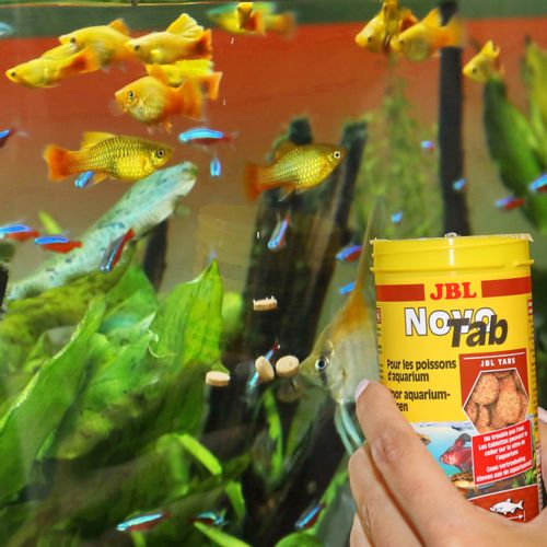 JBL NovoTab 250ml - pokarm w tabletkach na Arena.pl