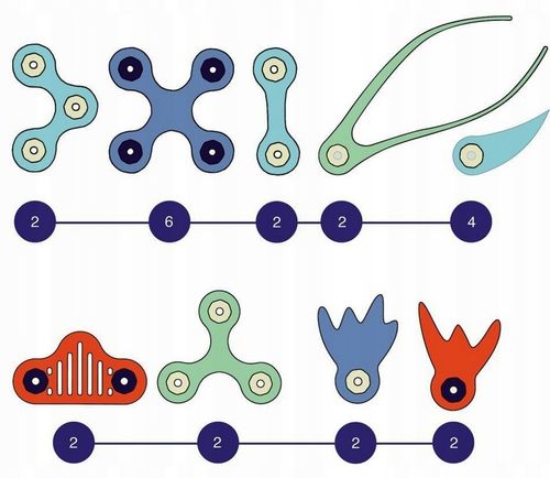 CLIXO CL-8099 OCEAN -Podwodny świat Kreatywne klocki magnetyczne Nowość USA na Arena.pl