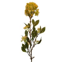 Dodatek czosnek x3 żółto pomarańczowy