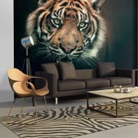 product-compare-63724975