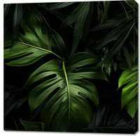 Obraz 100x100cm Zielony Szept