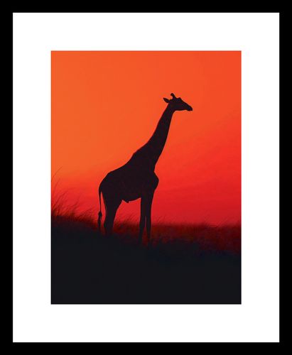 Plakat 15x20cm Żyrafa w Czerni na Arena.pl