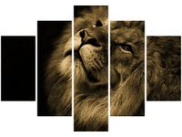 105CM 150CM OBRAZ 5 ELEM ZŁOTY LEW DRUK