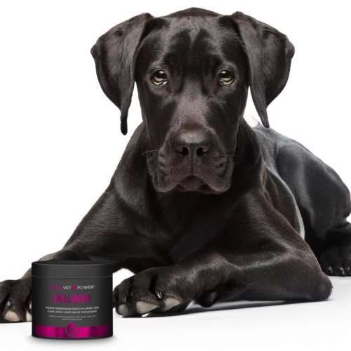 MONOVET POWER – COLLAGEN 120 gr na Arena.pl