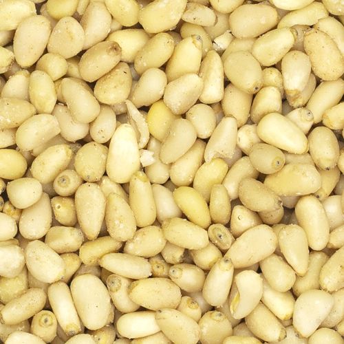 Orzechy pinii 100g na Arena.pl