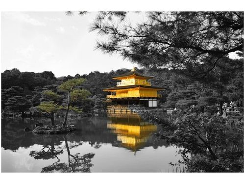 120CM 80CM OBRAZ ŚCIENNY DOM BONZAI MITH HUANG na Arena.pl