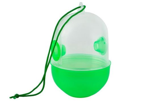 Pułapka na owady na Arena.pl