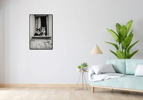 Plakat 53x81cm Para w Oknie na Arena.pl