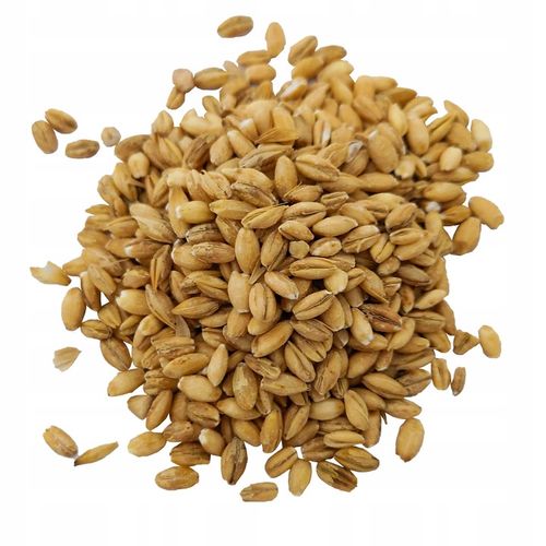 Kasza PĘCZAK JĘCZMIENNA 25kg worek na Arena.pl