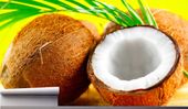 Fototapeta ORZECH KOKOSOWY LIŚCIE PALM 200x130