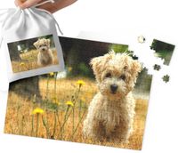 product-compare-57976572