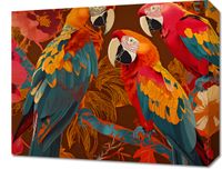 Obraz 50x40cm Kolorowe Ary