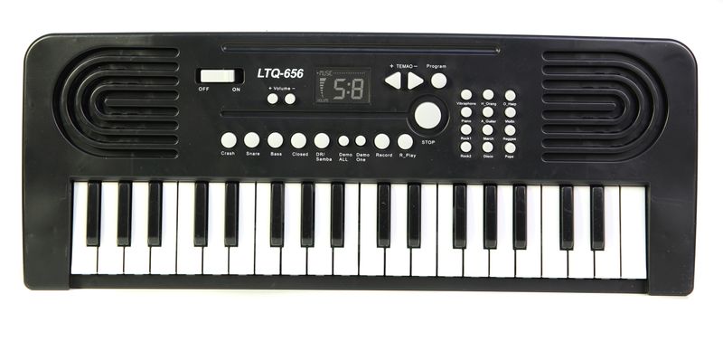 Duże organki, keyboard z mikrofonem zdjęcie 1