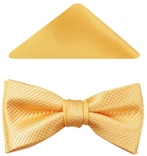 Żołta mucha  A121 na Arena.pl