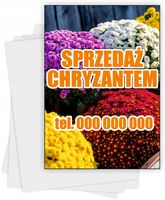 ulotki A6 reklamowe firmowe 1000 szt różne wzory SPRZEDAŻ CHRYZANTEM