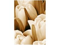 50X70CM ŚWIEŻE TULIPANY OBRAZ PION ŚCIAN