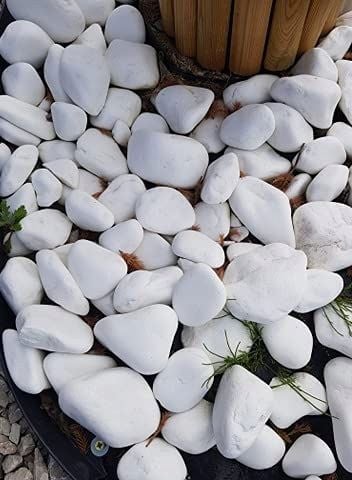 OTOCZAK BIAŁY KAMIEŃ THASSOS BIAŁE OTOCZAKI do OGRÓDU i DONICZEK 10 KG na Arena.pl