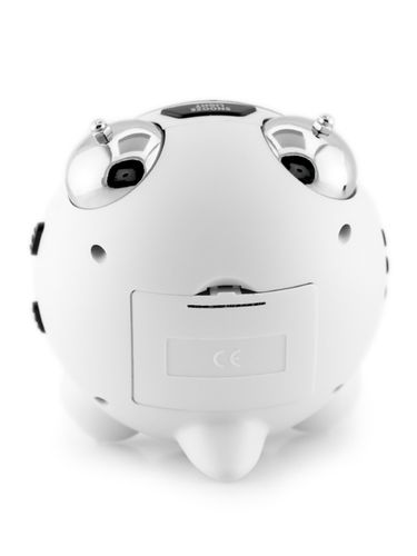 BUDZIK PACIFIC - LCD - 2 ALARMY (do024a) na Arena.pl