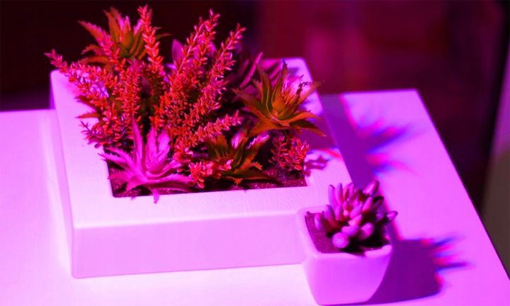 Lampa Panel do Wzrostu Uprawy Roślin 200 LED E27 zdjęcie 13
