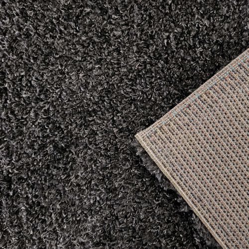 Dywan Santo Antracyt 200 x 290 cm na Arena.pl