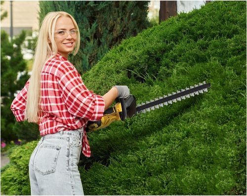 NOŻYCE DO ŻYWOPŁOTU AKUMULATOROWE DO KRZEWÓW IMOUM AKUMULATOR 4.0AH na Arena.pl