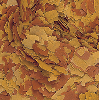 tropical vitality&color 5000ml