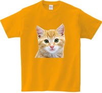 Koszulka T-shirt Kot