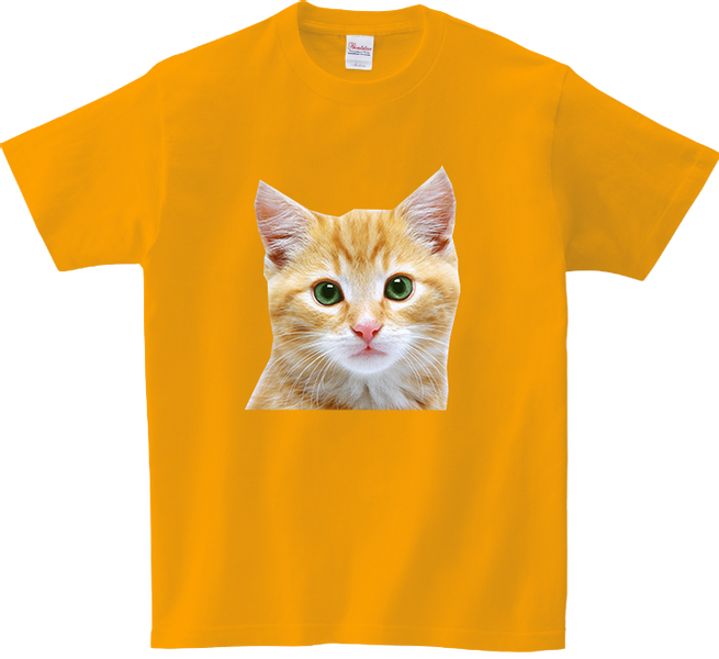 Koszulka T-shirt Kot zdjęcie 1