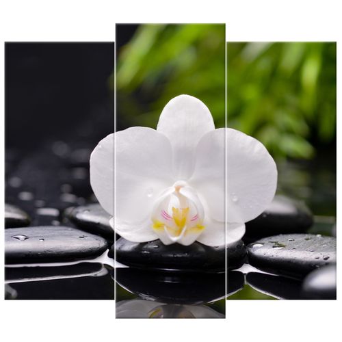 Obraz Tryptyk 90X80 Biała Orchidea na Arena.pl